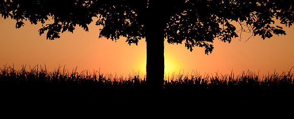 End of the Day