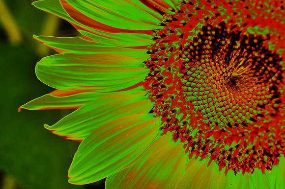 Solar Sun