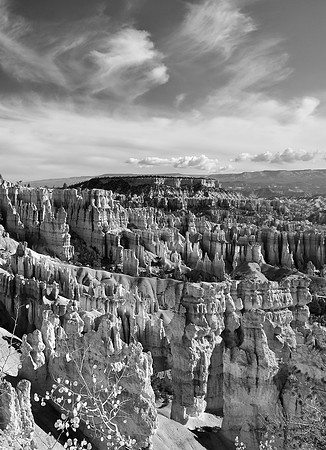 Zion's Hoodoos