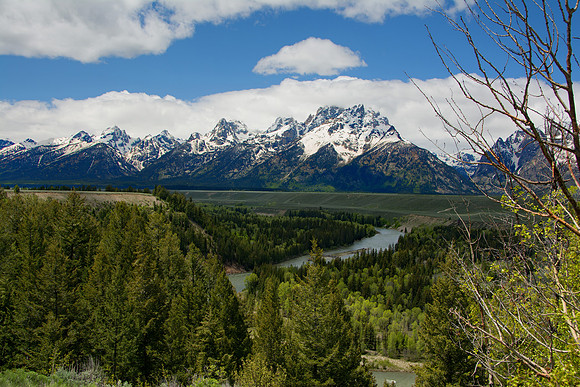 Snake River - by Ann Conver
