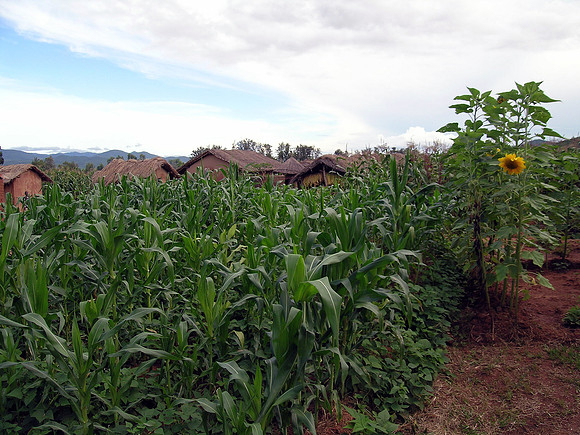 The Village