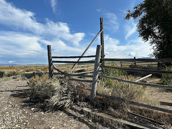 Corral