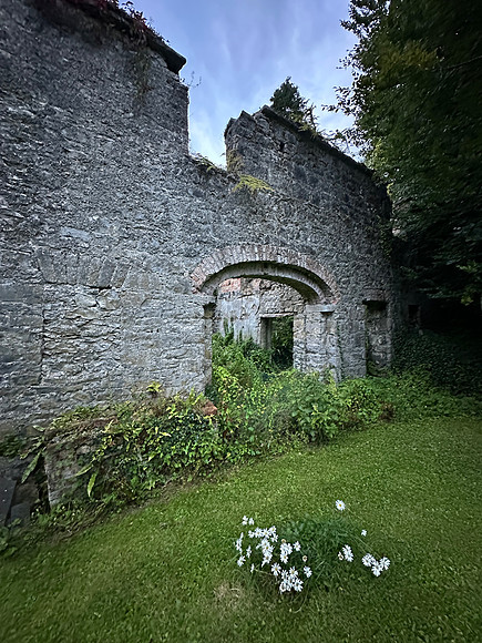 Newpark back yard