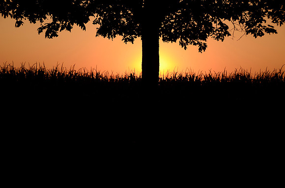 Last Light