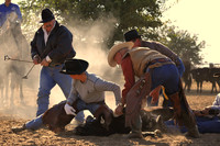 Roping and Branding