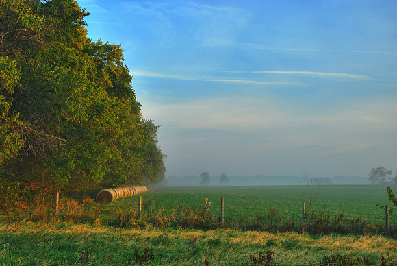 Hay Bales