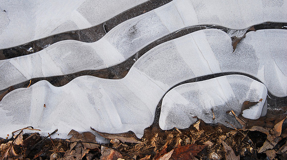 Ice Patterns