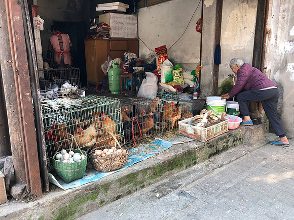 Fowel Stall vendor