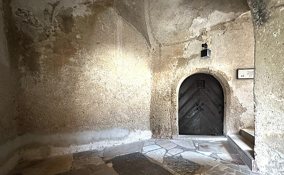 Bled Castle Cheveron Door