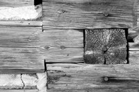 Cunningham Log in BW