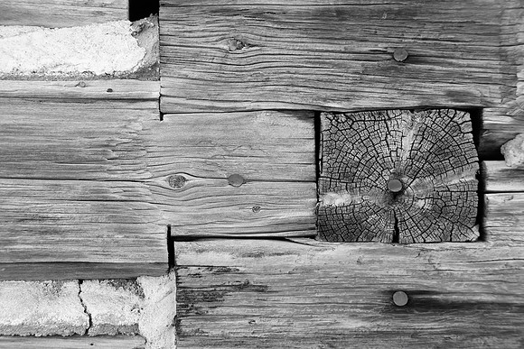 Cunningham Log in BW