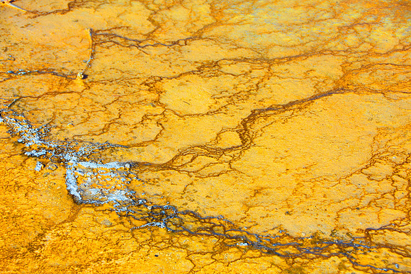 Golden Map
