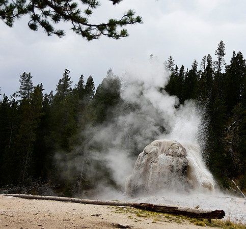 Lone Star Trail Gyser II