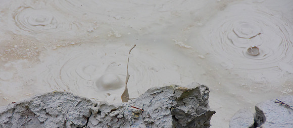 Mud Bubbles V