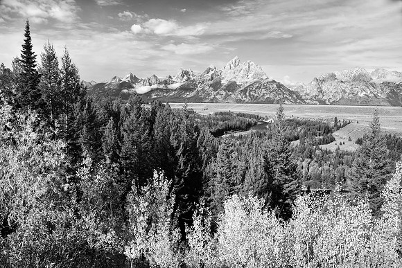 Tetons and the Aspens