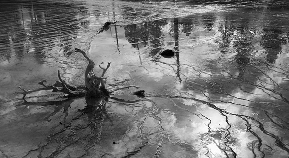 The Mirror