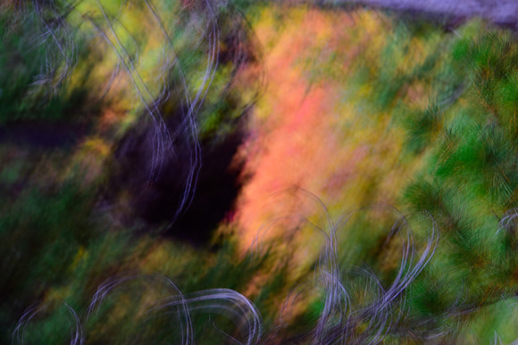 Yellowstone painting