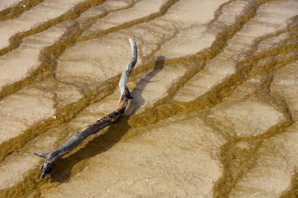 Line shape form