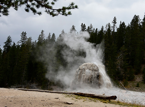 Lone Star Trail Gyser I