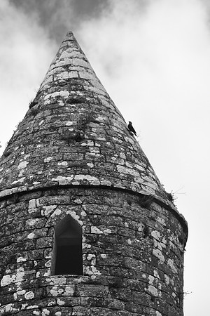 Bird on the Round Tower