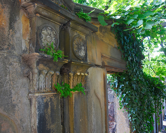Pillars and Leaves in color