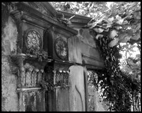 Pillars and Leaves