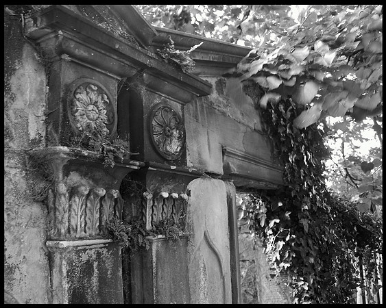 Pillars and Leaves