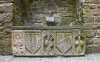 St. Patrick's Alter