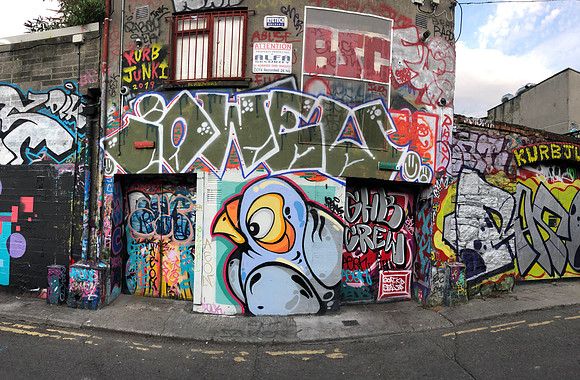Dublin Bird