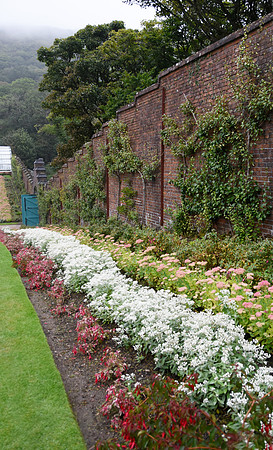 Garden Wall