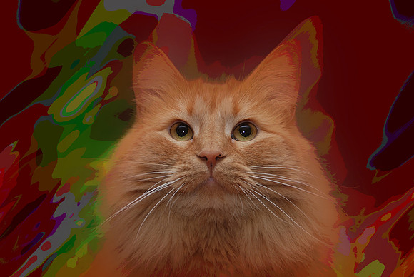 Boozel