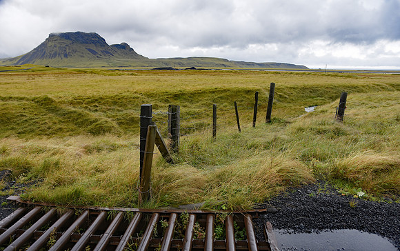 Cattle Gate