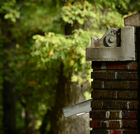 Glen Oak Detail