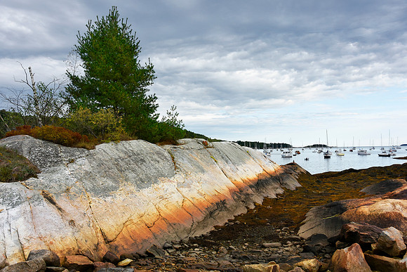 Low Tide at Rockport