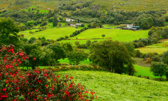 36 Shades of Green