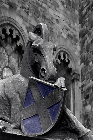 Sotish Horse at Edinburgh Castle
