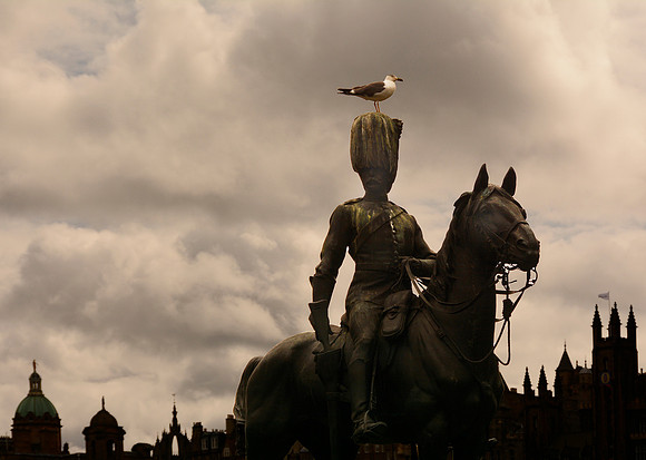Some days you are the statue, some days you are the pigeon.