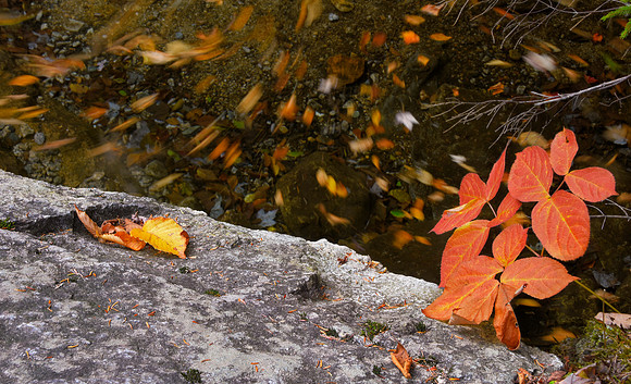 New Hampshire dance