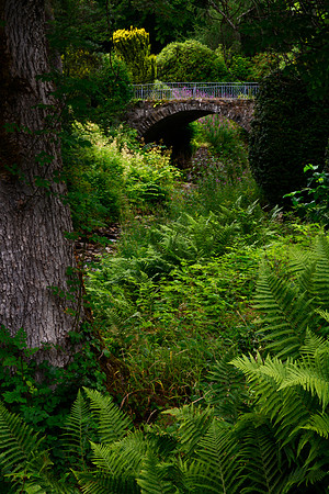 Foot Bridge