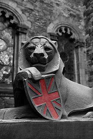 The Lion
