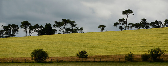 A little slice of Scotland