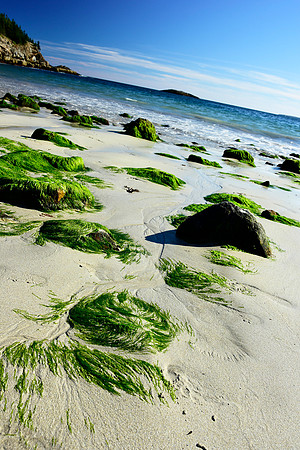 The Beach at...