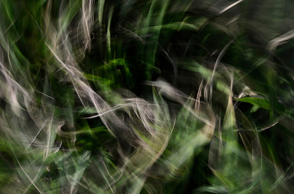 Dance of the Fairies