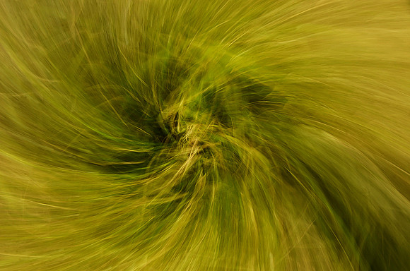 A new spin