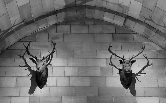 Trophy Room
