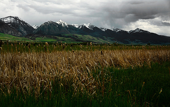 Tetons and Cattails