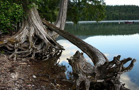 Peaceful Lake