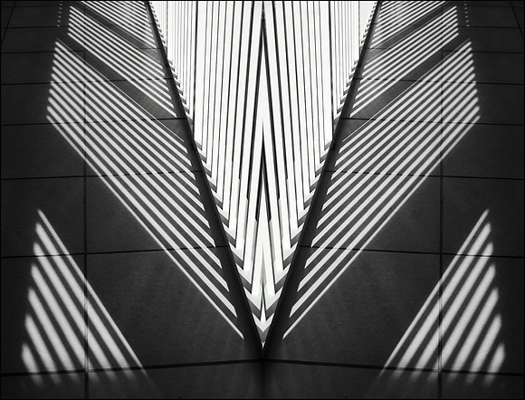 Point of View 2