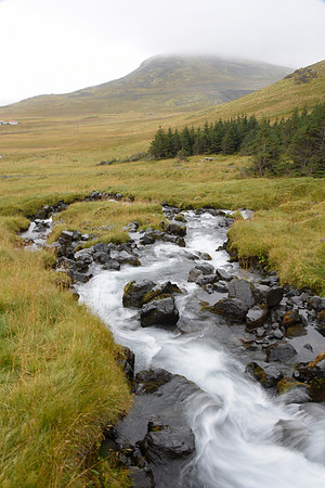Stream