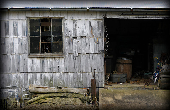 The Shed